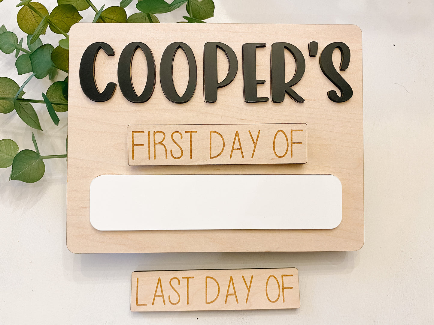 Interchangeable Custom Back to School Sign